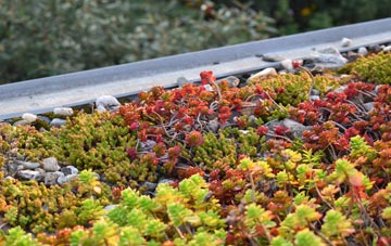 the cost of Cock Clarks green roof installation